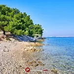 Island Dream * Kali