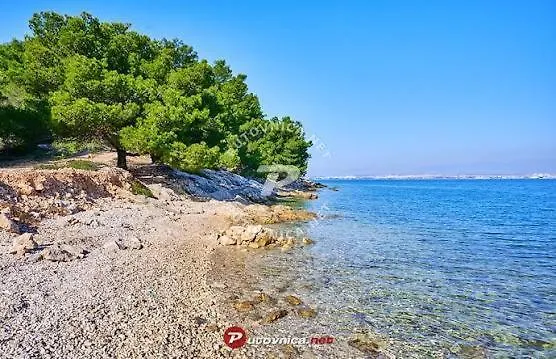 Island Dream * Kali