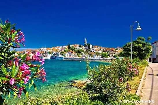 Apartman Island Dream Kali